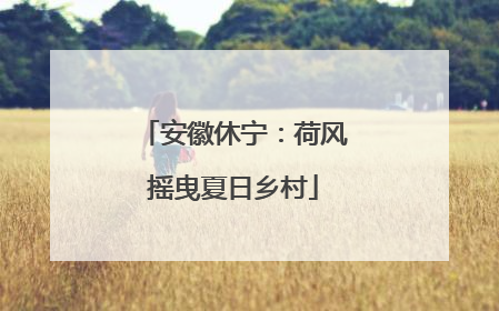 安徽休宁：荷风摇曳夏日乡村