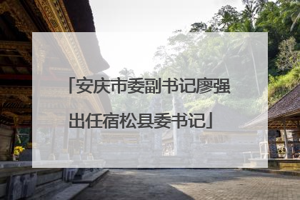 安庆市委副书记廖强出任宿松县委书记