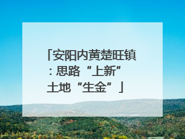 安阳内黄楚旺镇：思路“上新” 土地“生金”