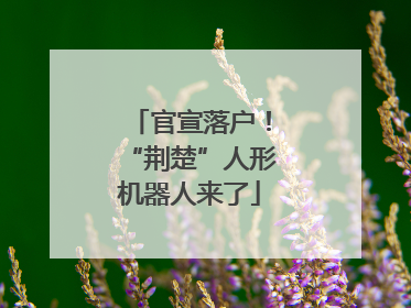 官宣落户！“荆楚”人形机器人来了
