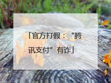 官方打假：“腾讯支付”有诈