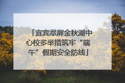宜宾翠屏金秋湖中心校多举措筑牢“端午”假期安全防线
