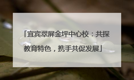 宜宾翠屏金坪中心校：共探教育特色，携手共促发展