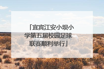 宜宾江安小坝小学第五届校园足球联赛顺利举行