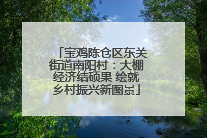 宝鸡陈仓区东关街道南阳村：大棚经济结硕果 绘就乡村振兴新图景