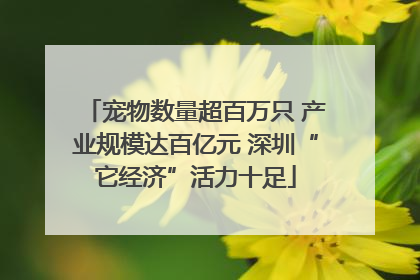 宠物数量超百万只 产业规模达百亿元 深圳“它经济”活力十足