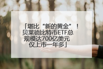 堪比“新的黄金”！贝莱德比特币ETF总规模达700亿美元 仅上市一年多