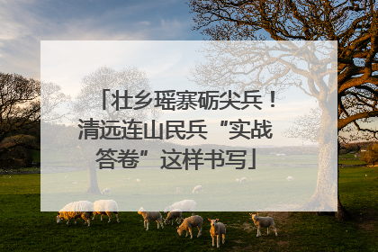 壮乡瑶寨砺尖兵！清远连山民兵“实战答卷”这样书写