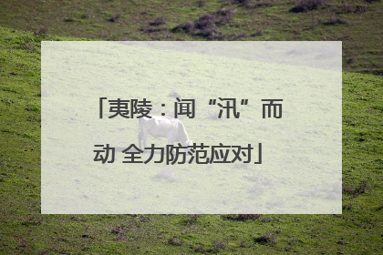 夷陵：闻“汛”而动 全力防范应对