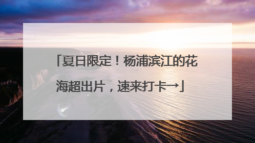 夏日限定！杨浦滨江的花海超出片，速来打卡→