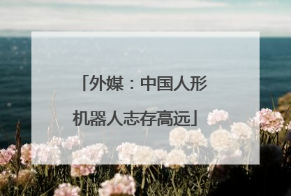 外媒：中国人形机器人志存高远
