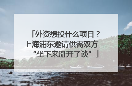 外资想投什么项目？上海浦东邀请供需双方“坐下来掰开了谈”