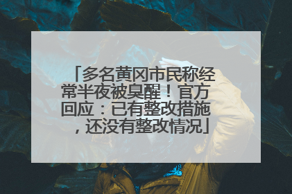 多名黄冈市民称经常半夜被臭醒！官方回应：已有整改措施，还没有整改情况