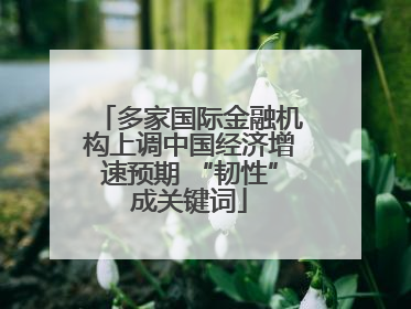 多家国际金融机构上调中国经济增速预期 “韧性”成关键词