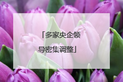 多家央企领导密集调整