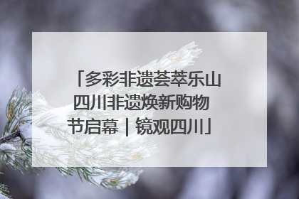 多彩非遗荟萃乐山 四川非遗焕新购物节启幕｜镜观四川