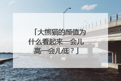 大熊猫的颜值为什么看起来一会儿高一会儿低？