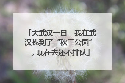大武汉一日︱我在武汉找到了“秋千公园”，现在去还不排队