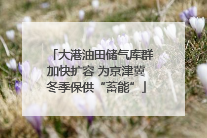 大港油田储气库群加快扩容 为京津冀冬季保供“蓄能”