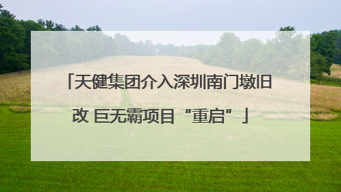 天健集团介入深圳南门墩旧改 巨无霸项目“重启”