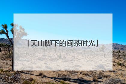 天山脚下的闽茶时光