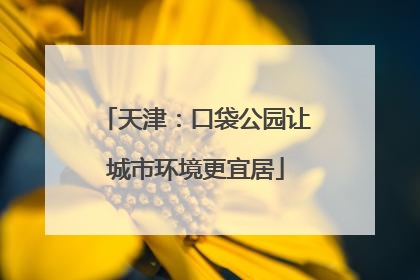 天津：口袋公园让城市环境更宜居