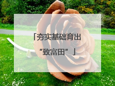 夯实基础育出“致富田”