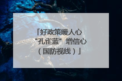 好政策暖人心 “孔雀蓝”增信心（国防视线）
