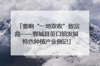 奏响“一地双收”致富曲——鄄城县董口镇发展特色种植产业侧记