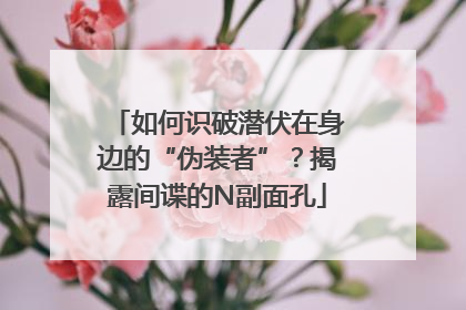 如何识破潜伏在身边的“伪装者”？揭露间谍的N副面孔