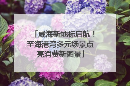 威海新地标启航！至海港湾多元场景点亮消费新图景
