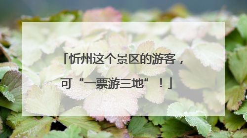 忻州这个景区的游客，可“一票游三地”！