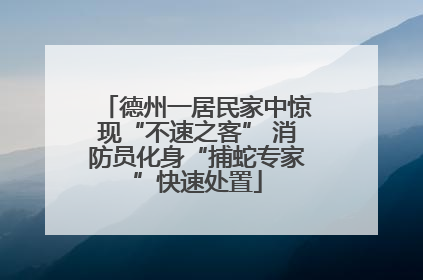 德州一居民家中惊现“不速之客” 消防员化身“捕蛇专家”快速处置