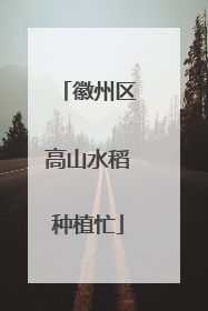 徽州区高山水稻种植忙