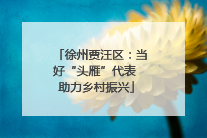 徐州贾汪区：当好“头雁”代表 助力乡村振兴