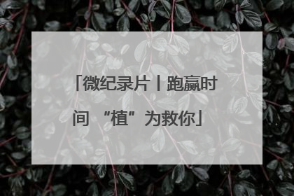 微纪录片丨跑赢时间 “植”为救你