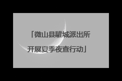 微山县驩城派出所开展夏季夜查行动