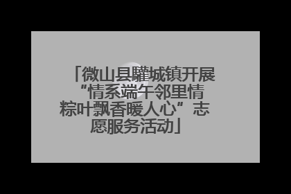 微山县驩城镇开展“情系端午邻里情 粽叶飘香暖人心”志愿服务活动