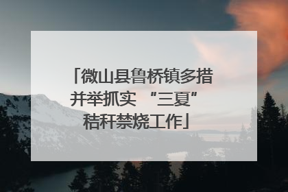 微山县鲁桥镇多措并举抓实 “三夏” 秸秆禁烧工作