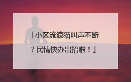 小区流浪猫叫声不断？民情快办出招啦！