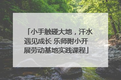 小手触碰大地，汗水遇见成长 乐师附小开展劳动基地实践课程