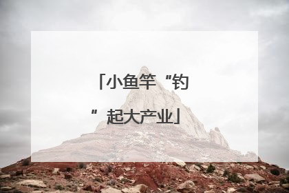 小鱼竿“钓”起大产业