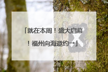 就在本周！盛大启幕！福州向海邀约→