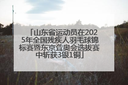 山东省运动员在2025年全国残疾人羽毛球锦标赛暨东京聋奥会选拔赛中斩获3银1铜