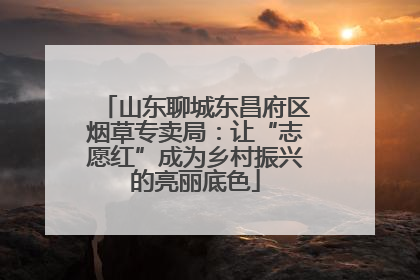 山东聊城东昌府区烟草专卖局：让“志愿红”成为乡村振兴的亮丽底色