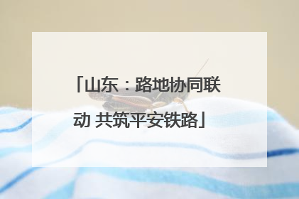 山东：路地协同联动 共筑平安铁路