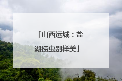 山西运城：盐湖捞虫别样美