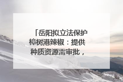 岳阳拟立法保护樟树港辣椒：提供种质资源需审批，违规最高罚5万