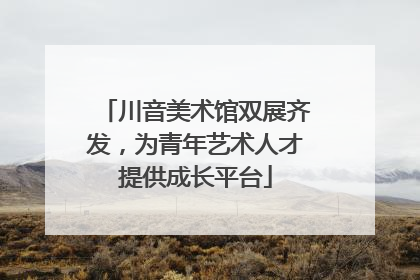 川音美术馆双展齐发，为青年艺术人才提供成长平台