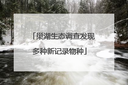 巢湖生态调查发现多种新记录物种